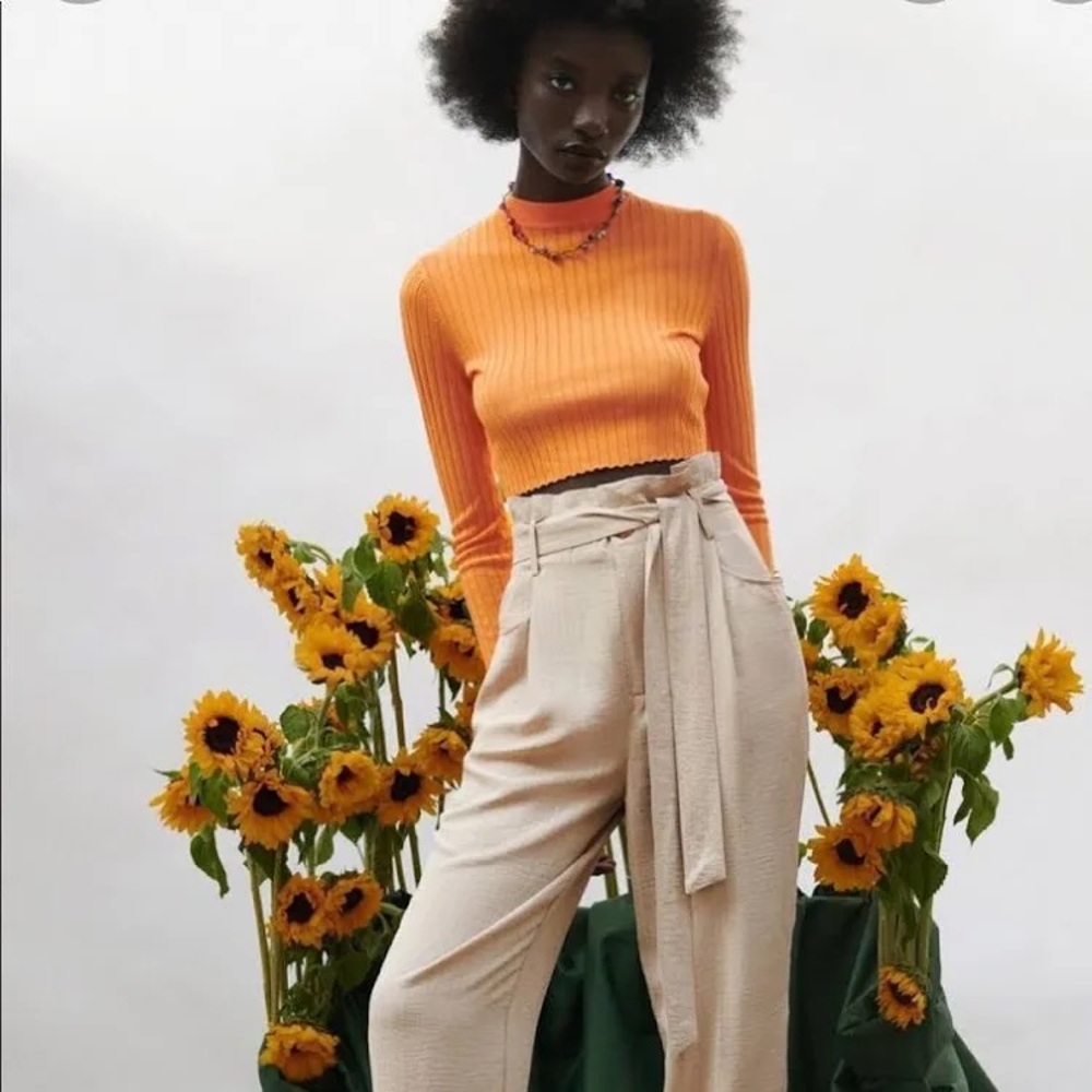 Zara Ribbed Orange Crop Top